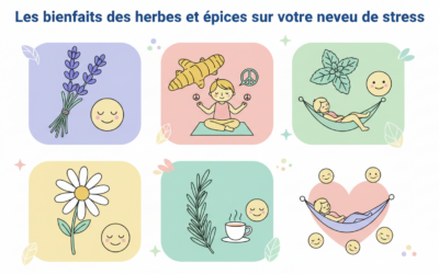 Les bienfaits des herbes et épices sur votre niveau de stress